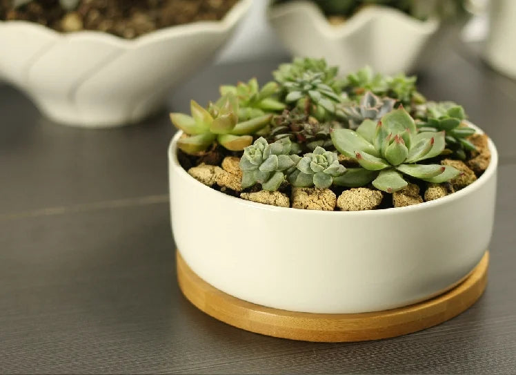 Ceramic Succulent Plant Pot, White Porcelain, Deep Rounded Flower Pot with Bamboo Tray, Office Desktop Table, Bonsai Zakka