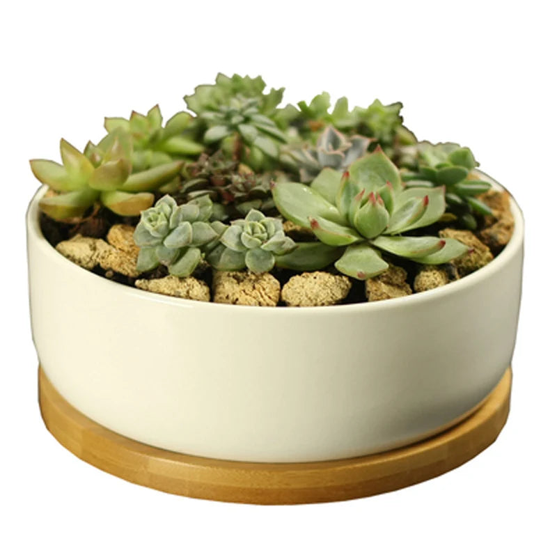 Ceramic Succulent Plant Pot, White Porcelain, Deep Rounded Flower Pot with Bamboo Tray, Office Desktop Table, Bonsai Zakka