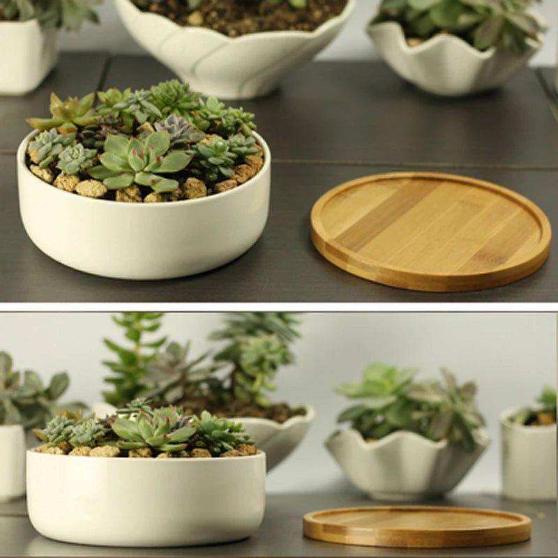 Ceramic Succulent Plant Pot, White Porcelain, Deep Rounded Flower Pot with Bamboo Tray, Office Desktop Table, Bonsai Zakka