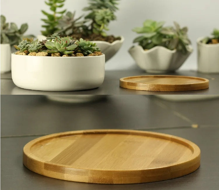 Ceramic Succulent Plant Pot, White Porcelain, Deep Rounded Flower Pot with Bamboo Tray, Office Desktop Table, Bonsai Zakka