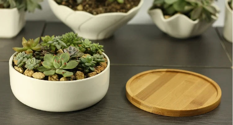 Ceramic Succulent Plant Pot, White Porcelain, Deep Rounded Flower Pot with Bamboo Tray, Office Desktop Table, Bonsai Zakka