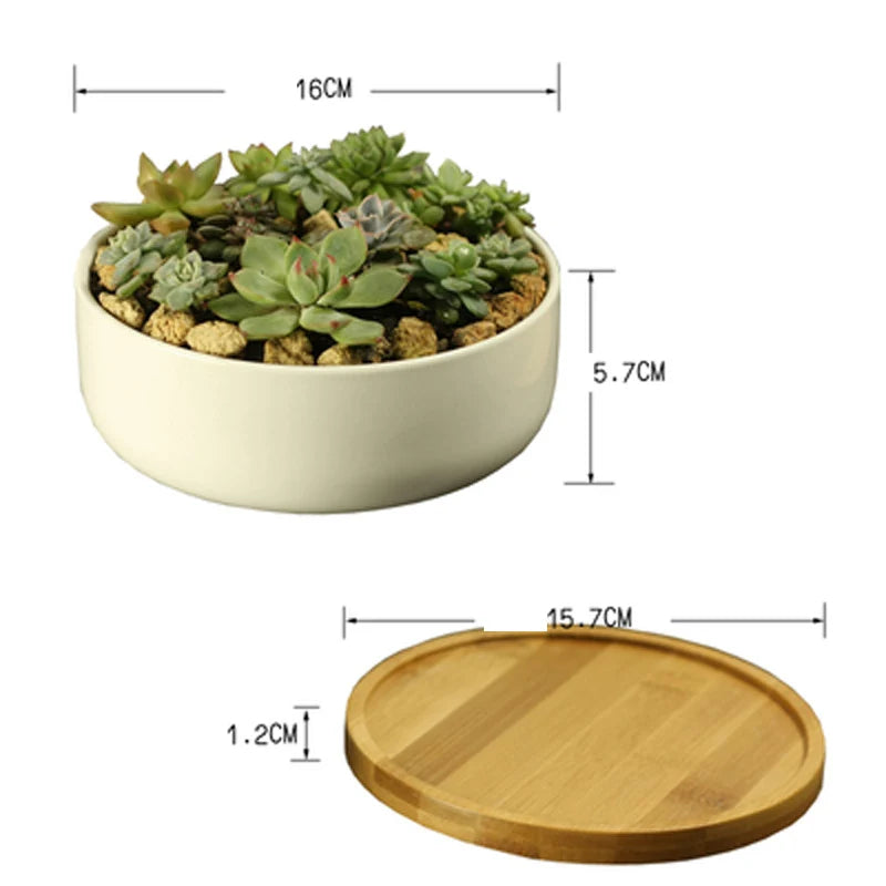 Ceramic Succulent Plant Pot, White Porcelain, Deep Rounded Flower Pot with Bamboo Tray, Office Desktop Table, Bonsai Zakka