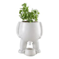 Succulent Ceramic Flowerpot Light Luxury Flowerpot Manufacturing Human Creative Flowerpot Desktop Simple Decorative Flowerpot
